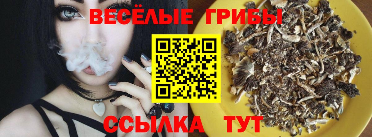 Галлюциногенные грибы мухоморы  Галлюциногенные грибы ЛСД  где найти   Шелехов  Вход с VPN 